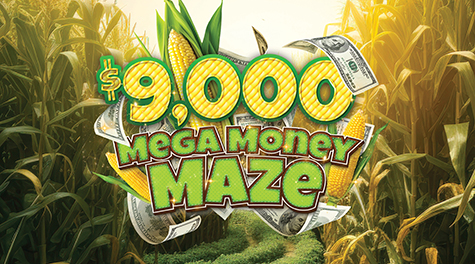 Mega Money Maze